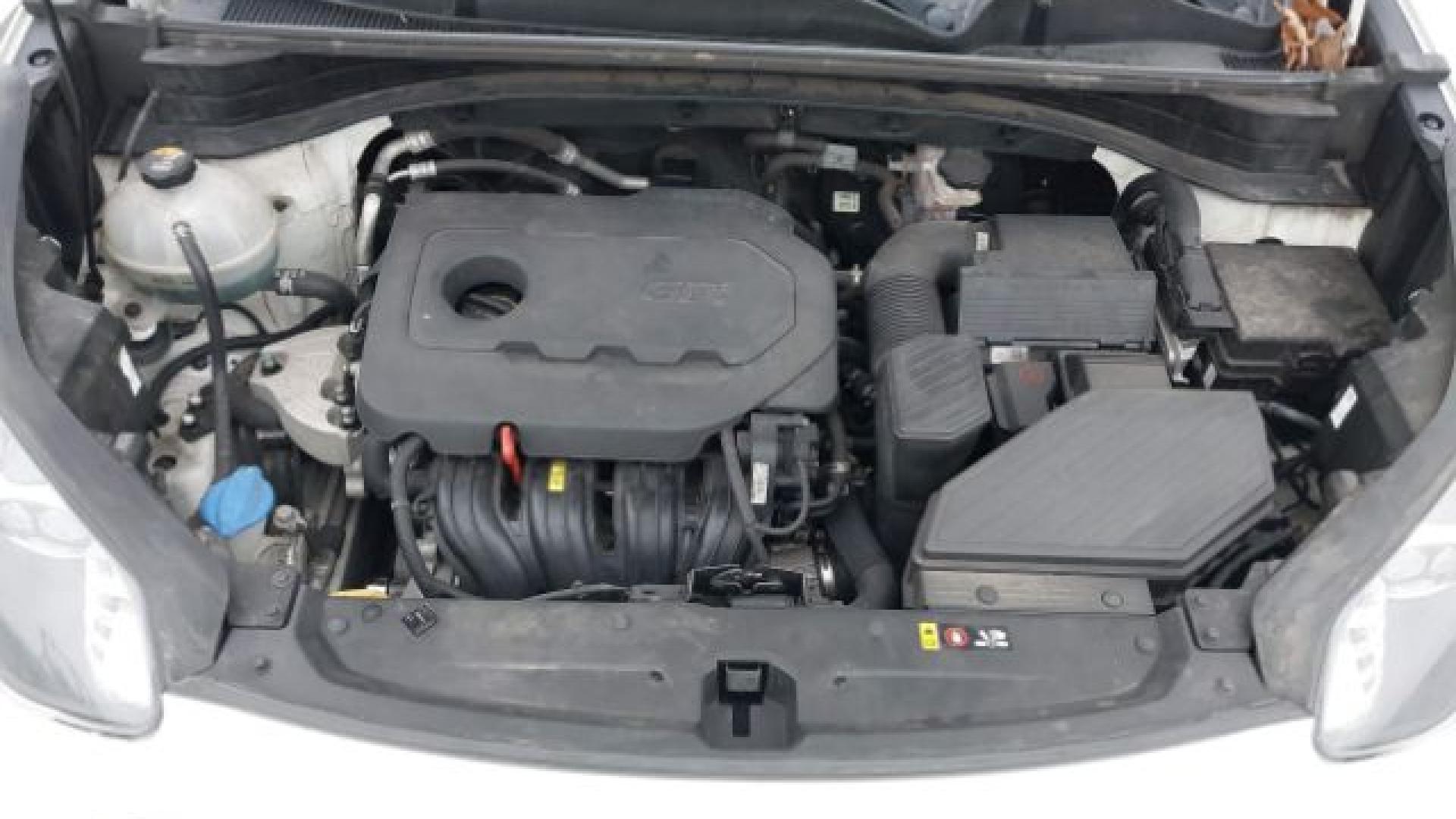 Kia - Sportage - 2019 - White - 38607736