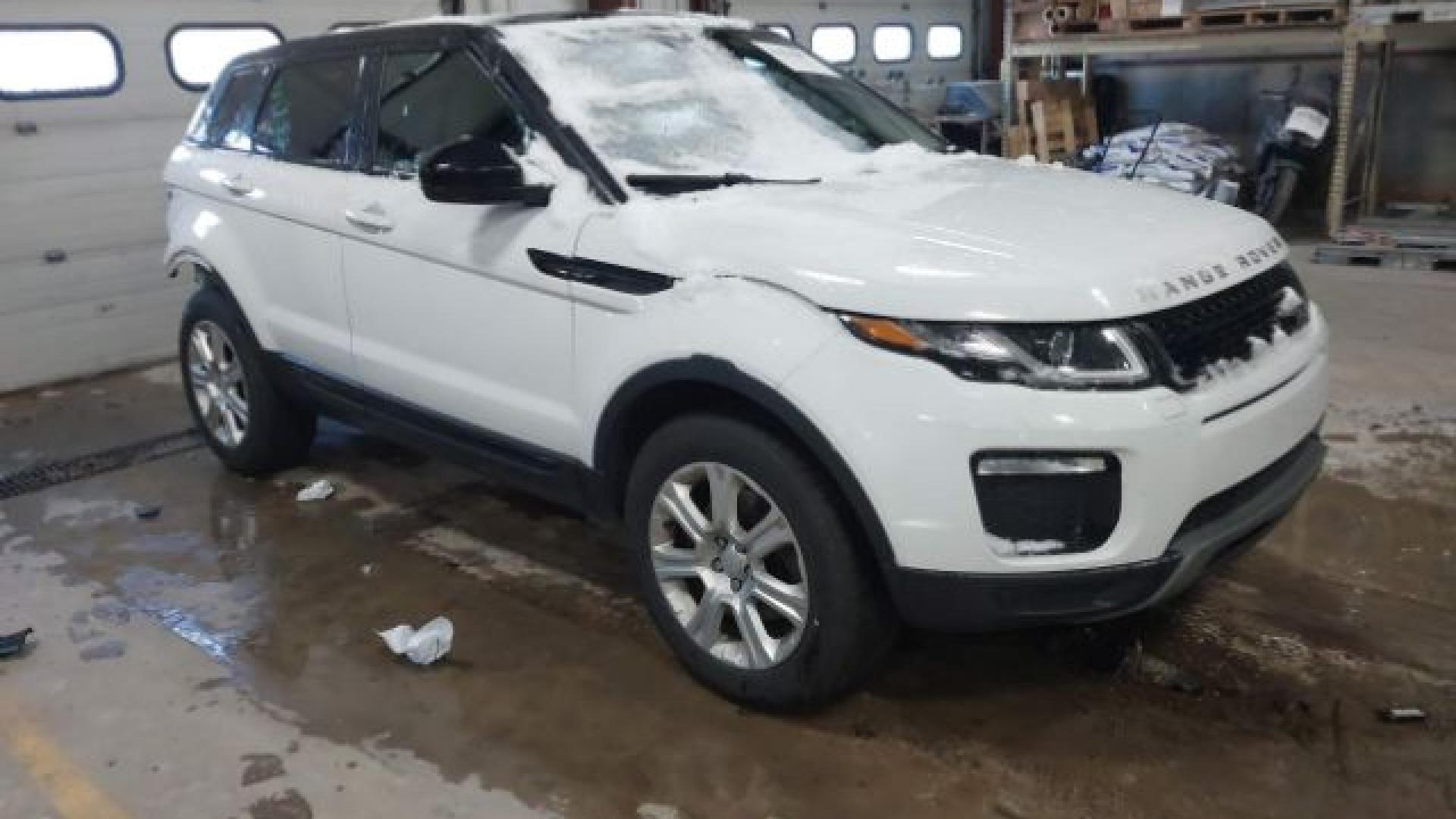 Range Rover - Evoque - 2017 - White - 41021007