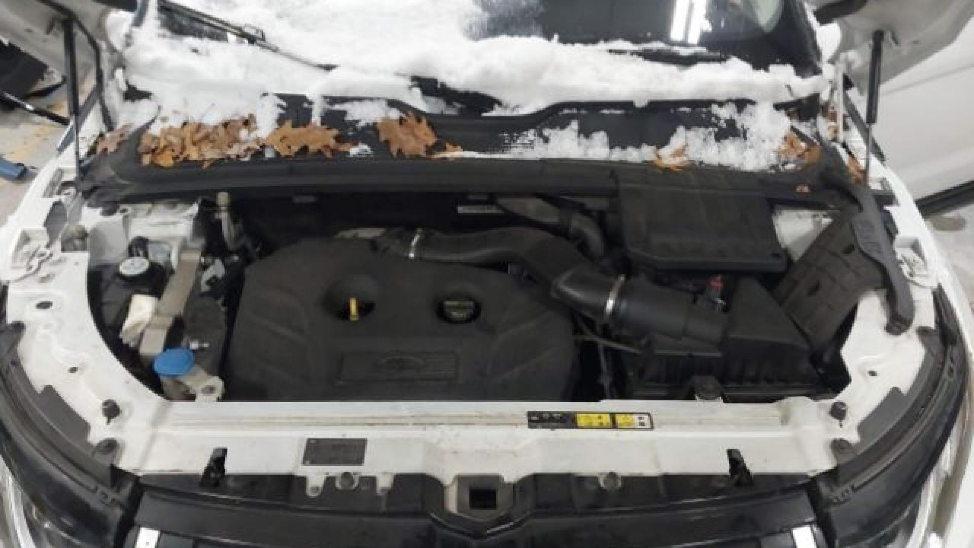 Range Rover - Evoque - 2017 - White - 41021007