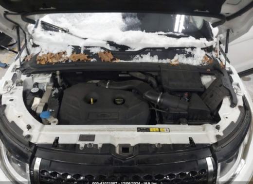 Range Rover - Evoque - 2017 - White - 41021007