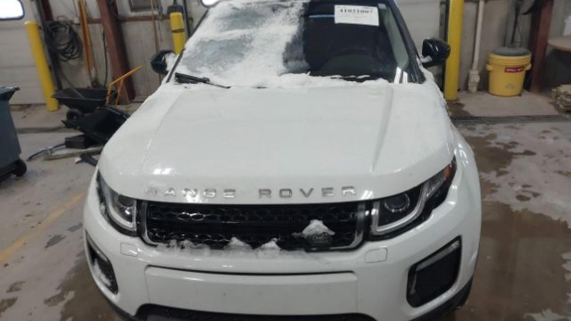 Range Rover - Evoque - 2017 - White - 41021007