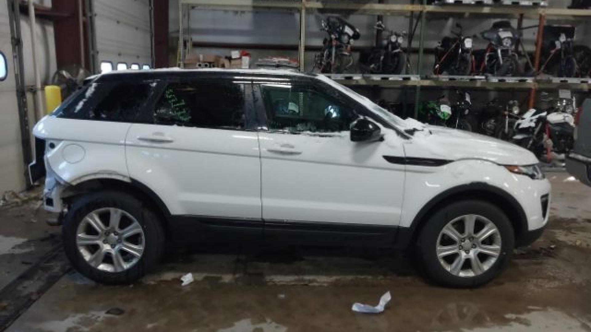 Range Rover - Evoque - 2017 - White - 41021007