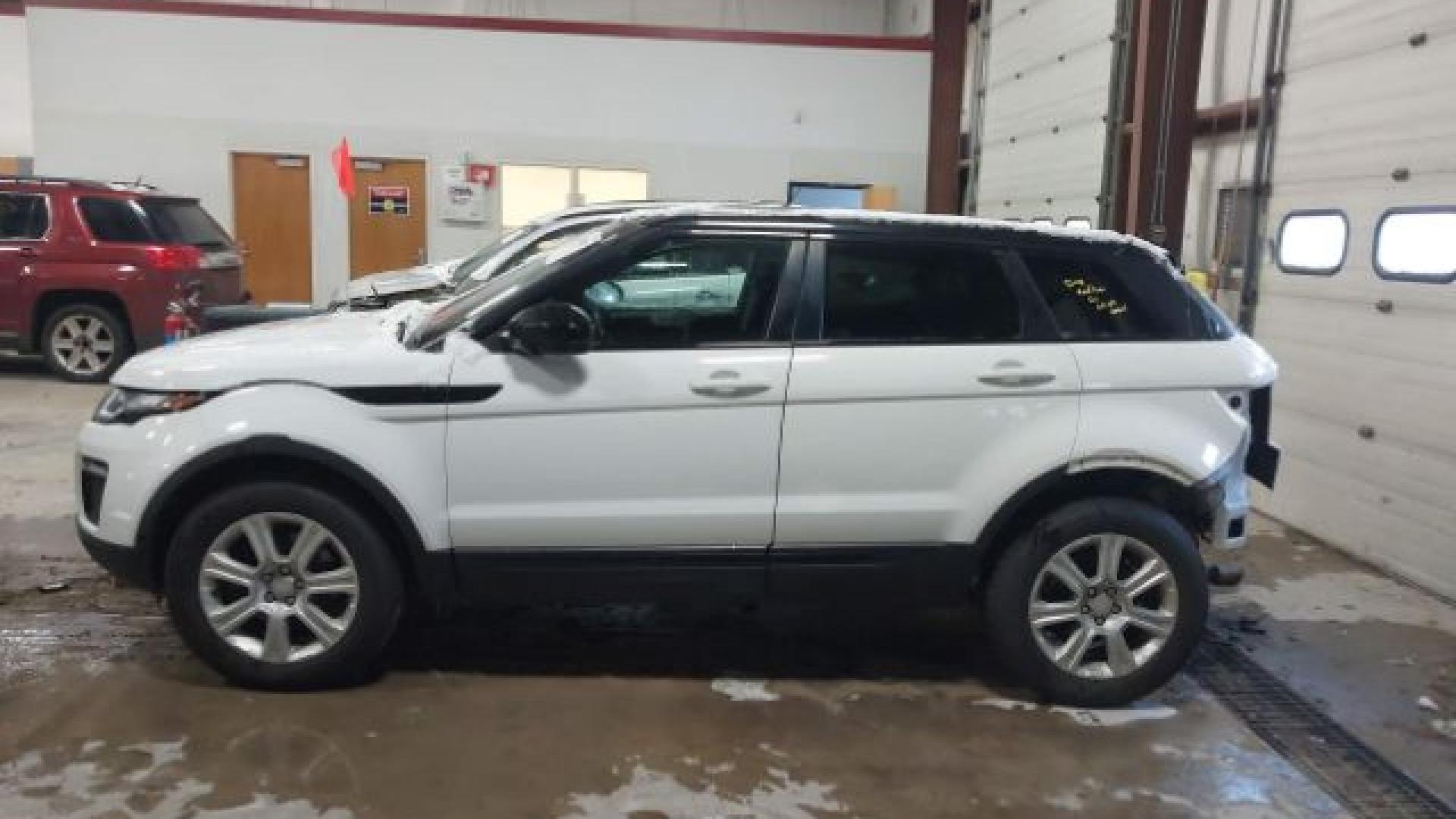 Range Rover - Evoque - 2017 - White - 41021007