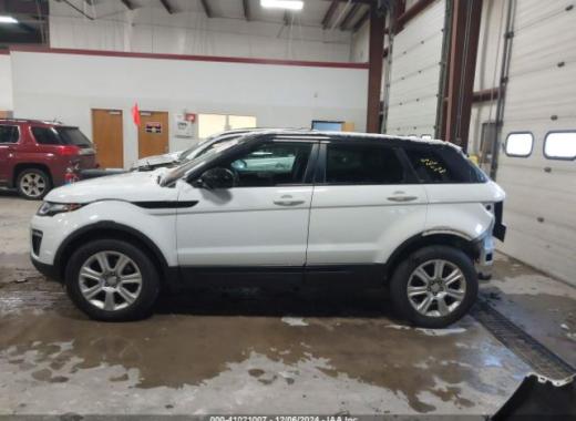 Range Rover - Evoque - 2017 - White - 41021007
