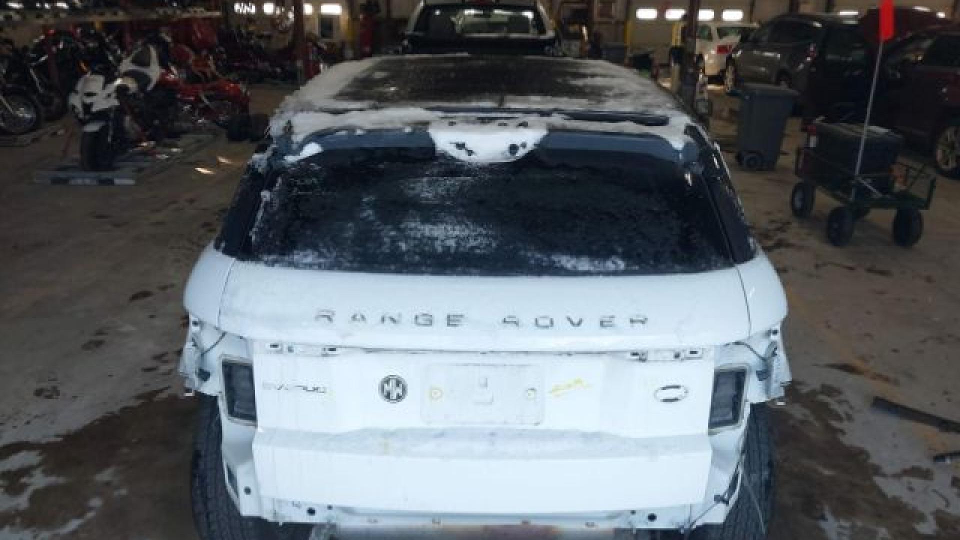 Range Rover - Evoque - 2017 - White - 41021007