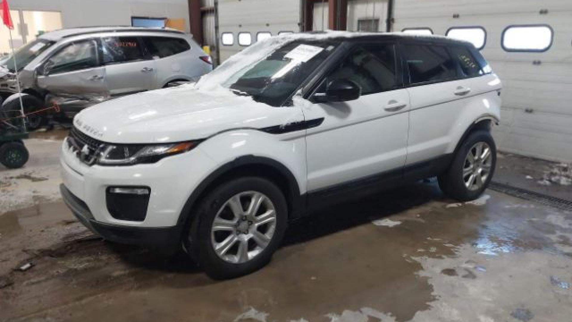 Range Rover - Evoque - 2017 - White - 41021007