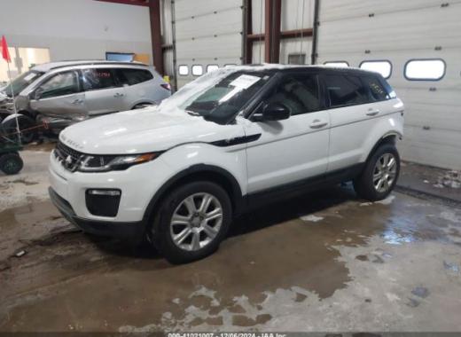 Range Rover - Evoque - 2017 - White - 41021007
