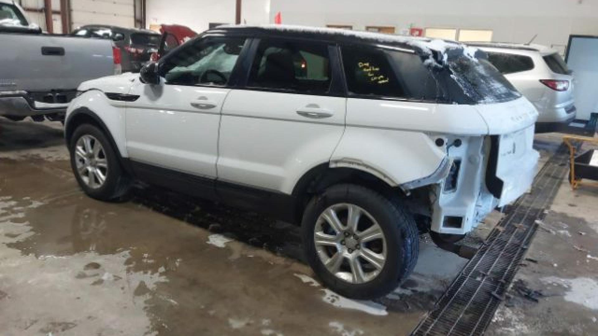 Range Rover - Evoque - 2017 - White - 41021007