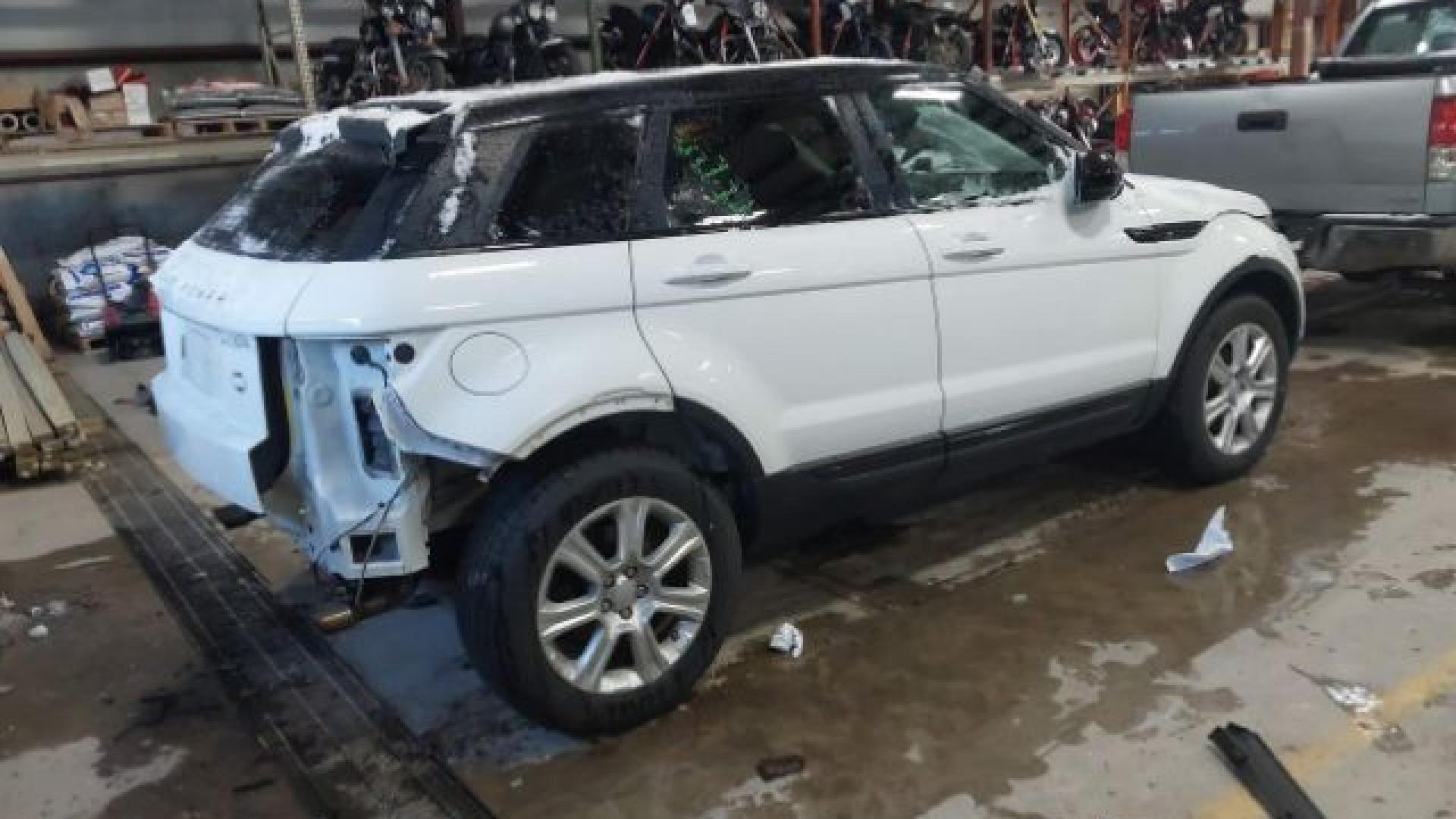 Range Rover - Evoque - 2017 - White - 41021007