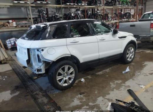 Range Rover - Evoque - 2017 - White - 41021007