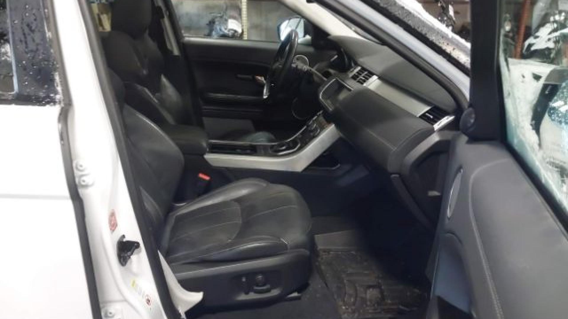 Range Rover - Evoque - 2017 - White - 41021007