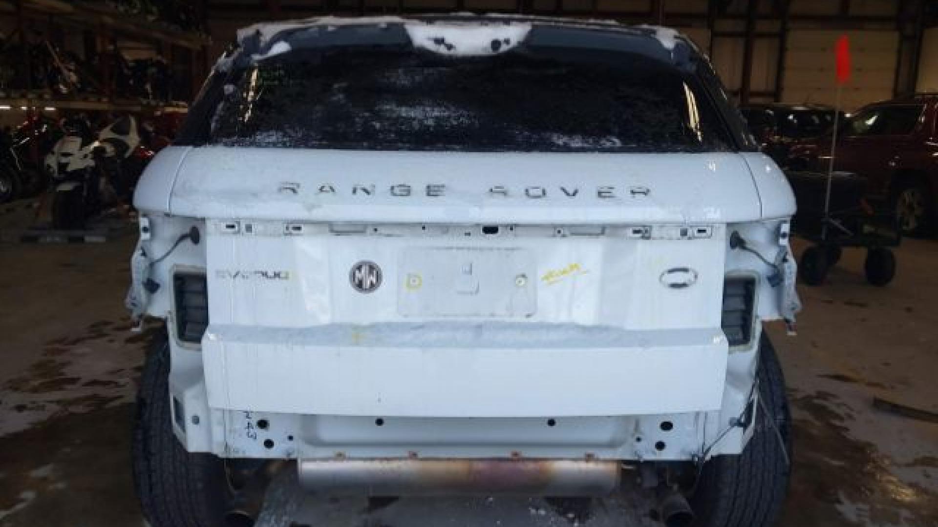 Range Rover - Evoque - 2017 - White - 41021007