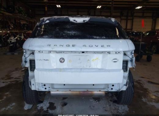 Range Rover - Evoque - 2017 - White - 41021007