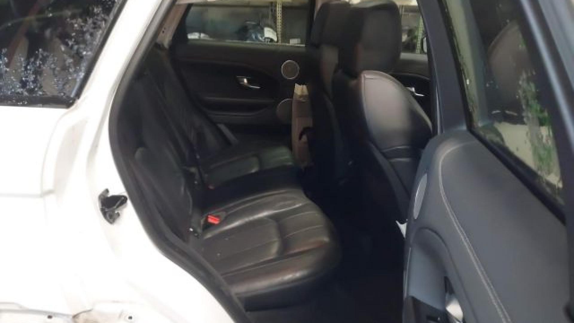 Range Rover - Evoque - 2017 - White - 41021007