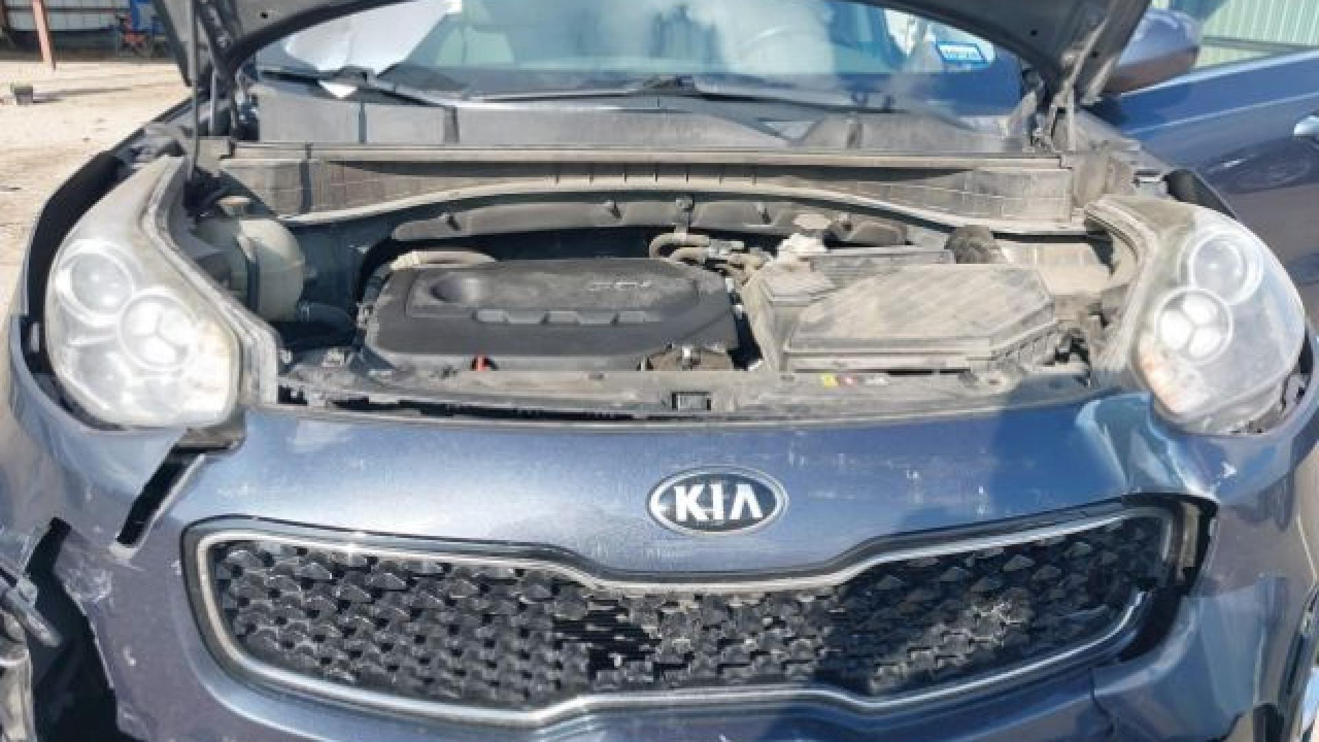 Kia - Sportage - 2017 - Blue - 41108428