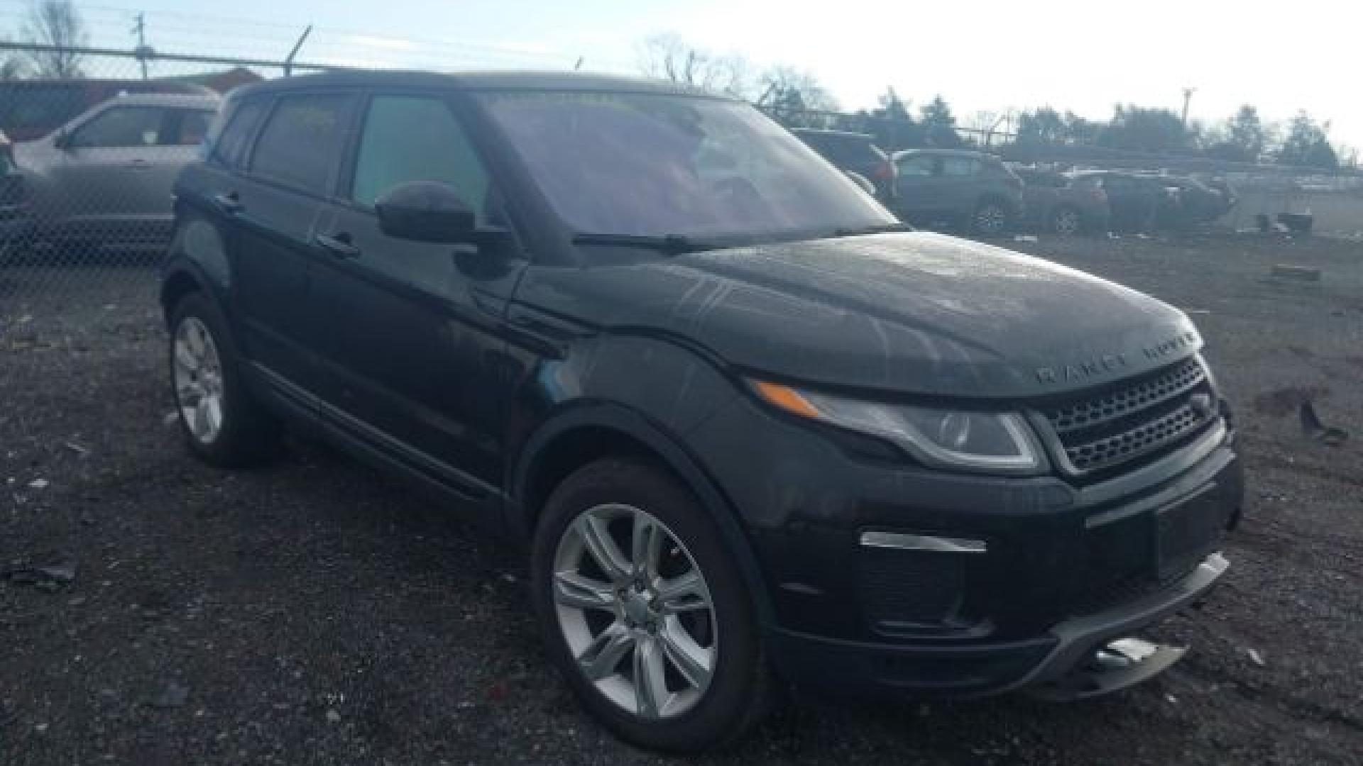 Range Rover - Evoque - 2017 - Black - 41197445