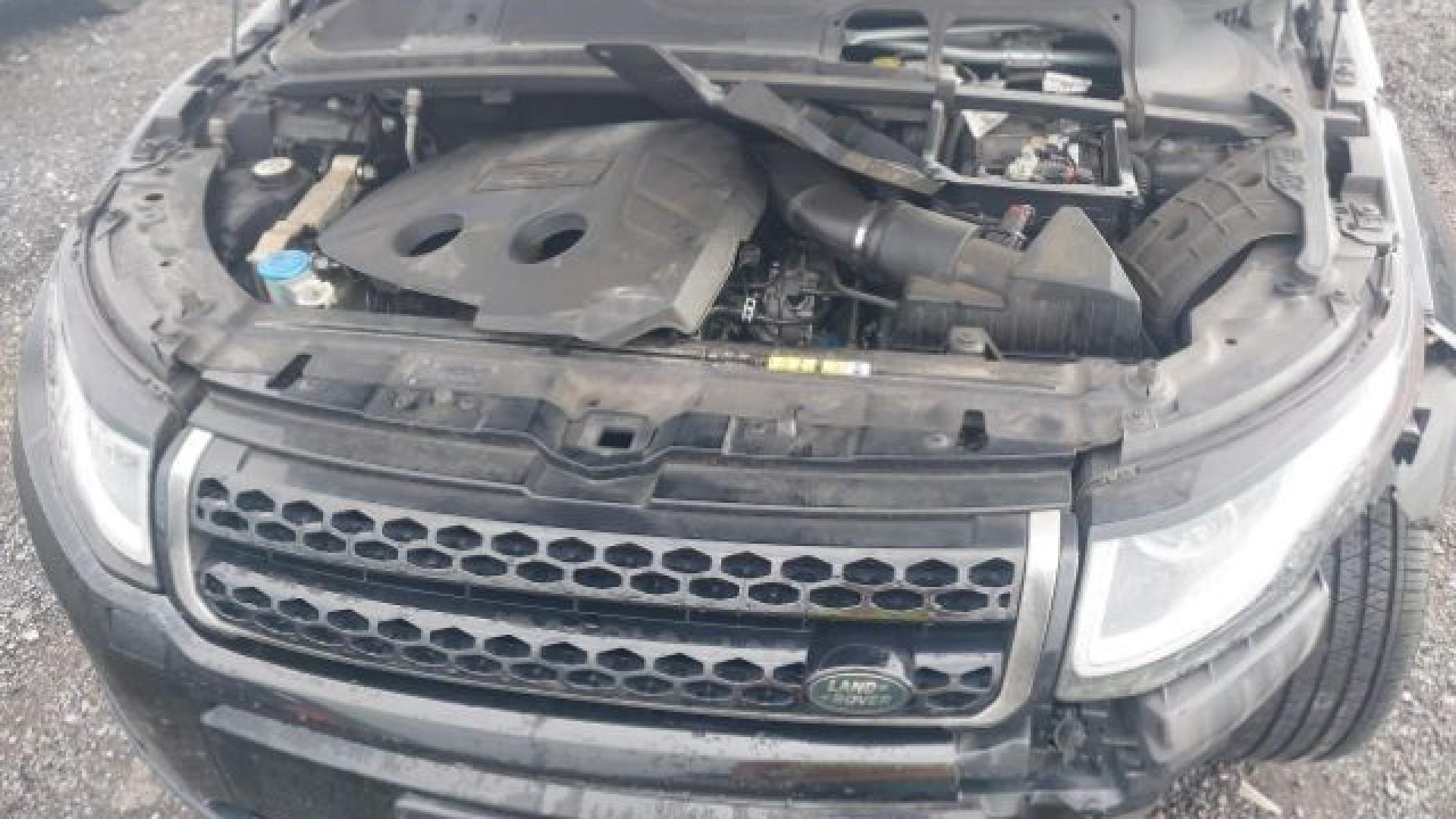 Range Rover - Evoque - 2017 - Black - 41197445