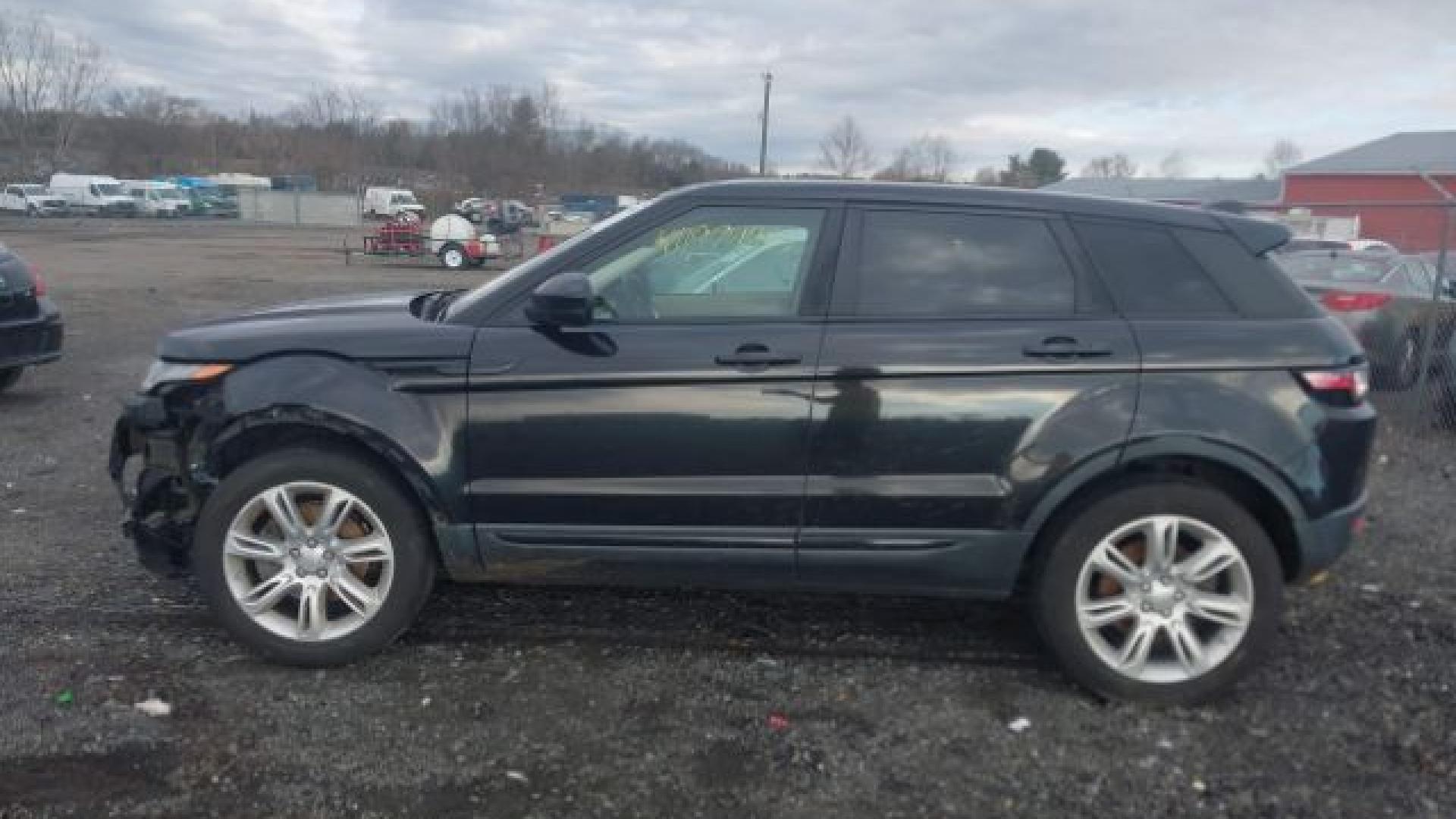 Range Rover - Evoque - 2017 - Black - 41197445