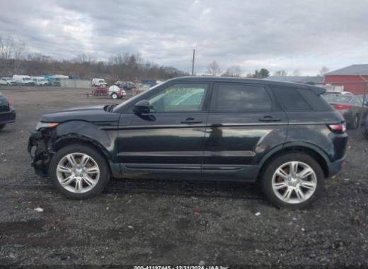 Range Rover - Evoque - 2017 - Black - 41197445