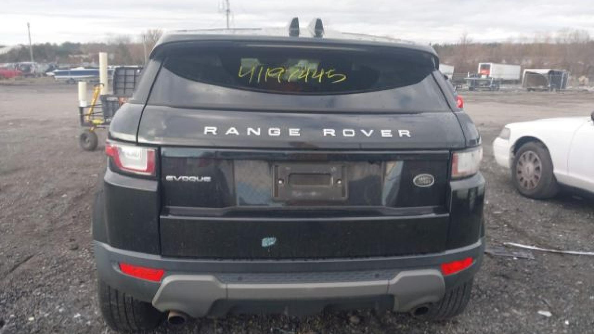 Range Rover - Evoque - 2017 - Black - 41197445