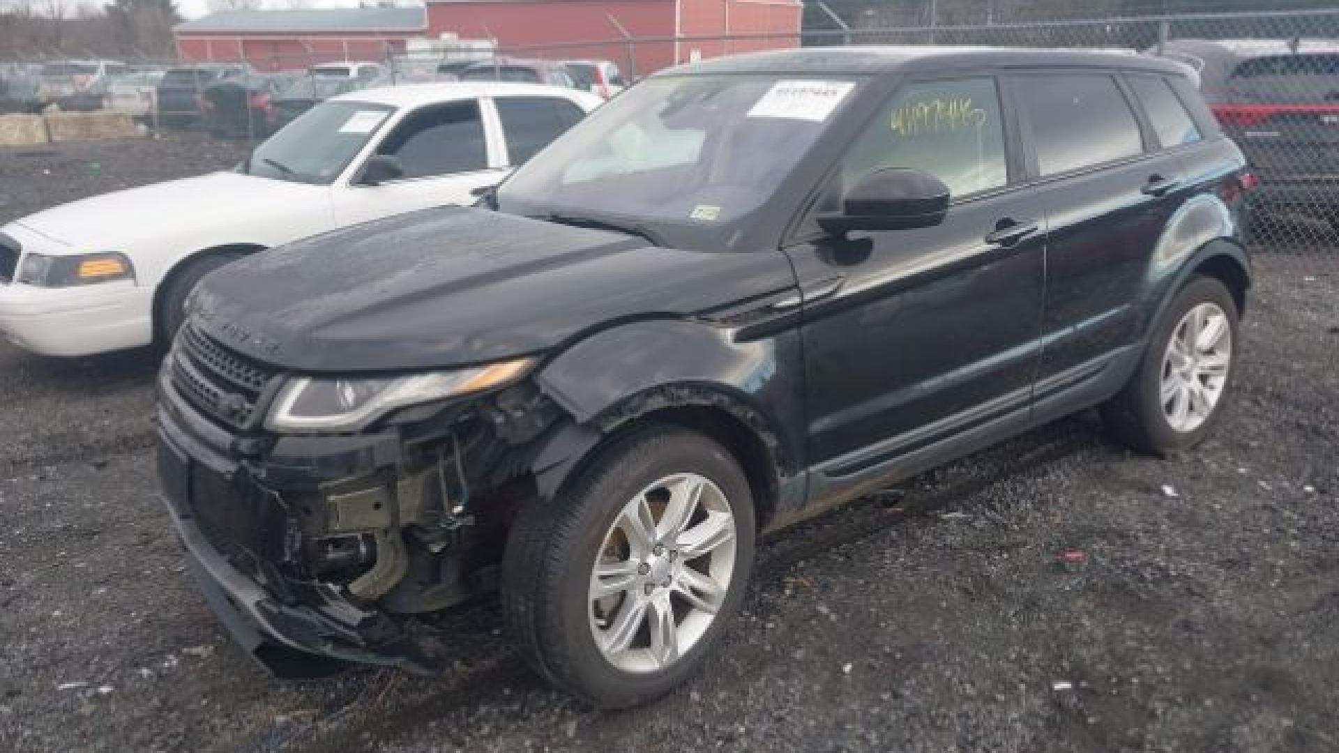 Range Rover - Evoque - 2017 - Black - 41197445