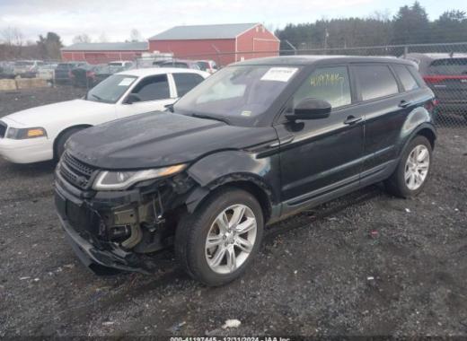 Range Rover - Evoque - 2017 - Black - 41197445