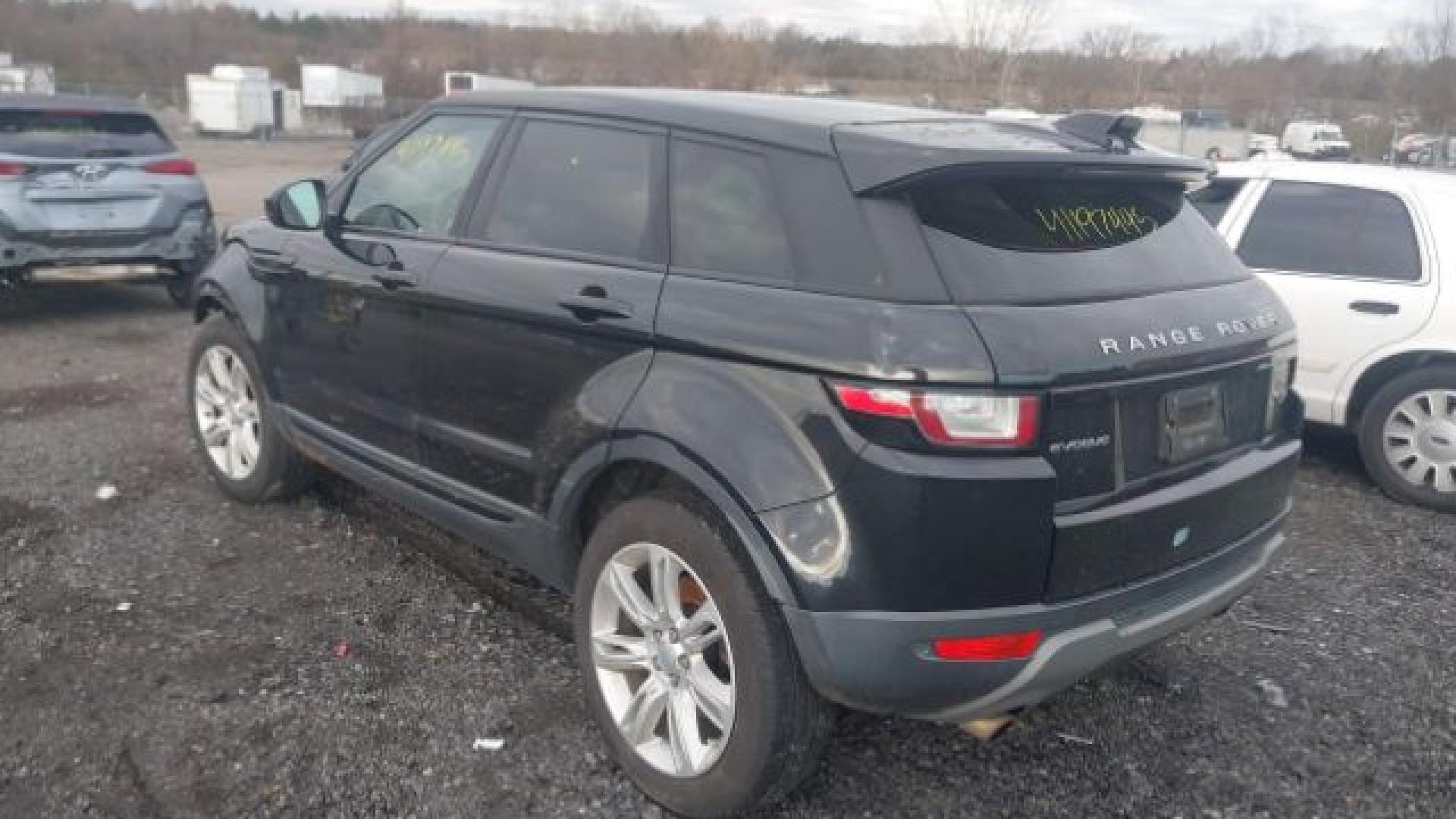 Range Rover - Evoque - 2017 - Black - 41197445