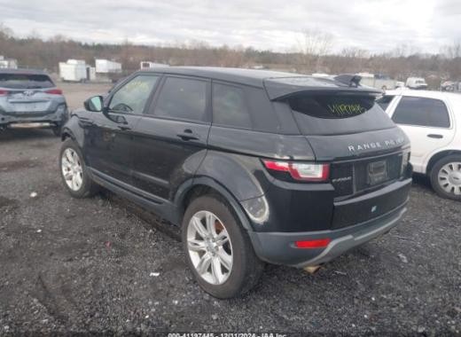 Range Rover - Evoque - 2017 - Black - 41197445