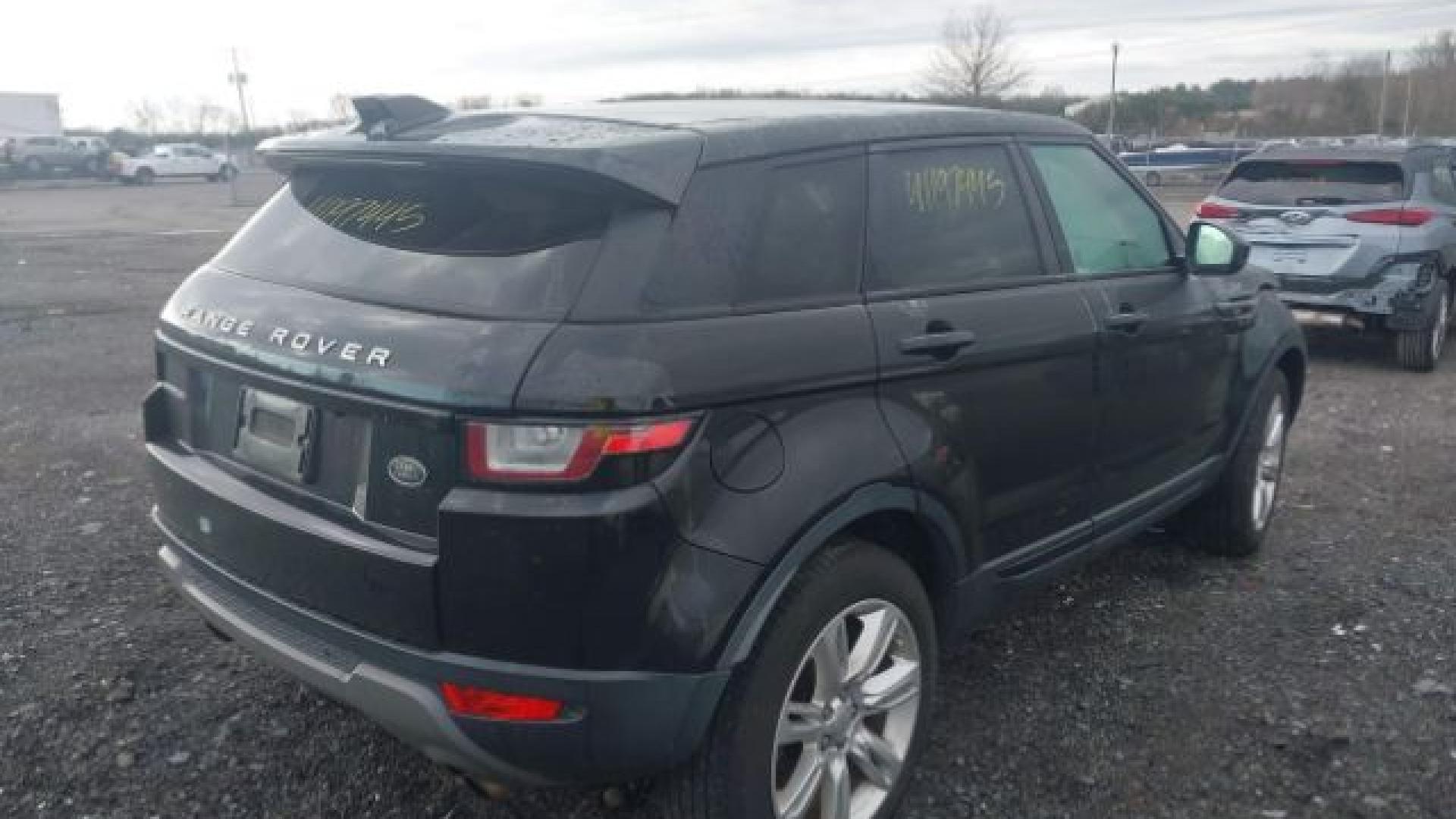 Range Rover - Evoque - 2017 - Black - 41197445