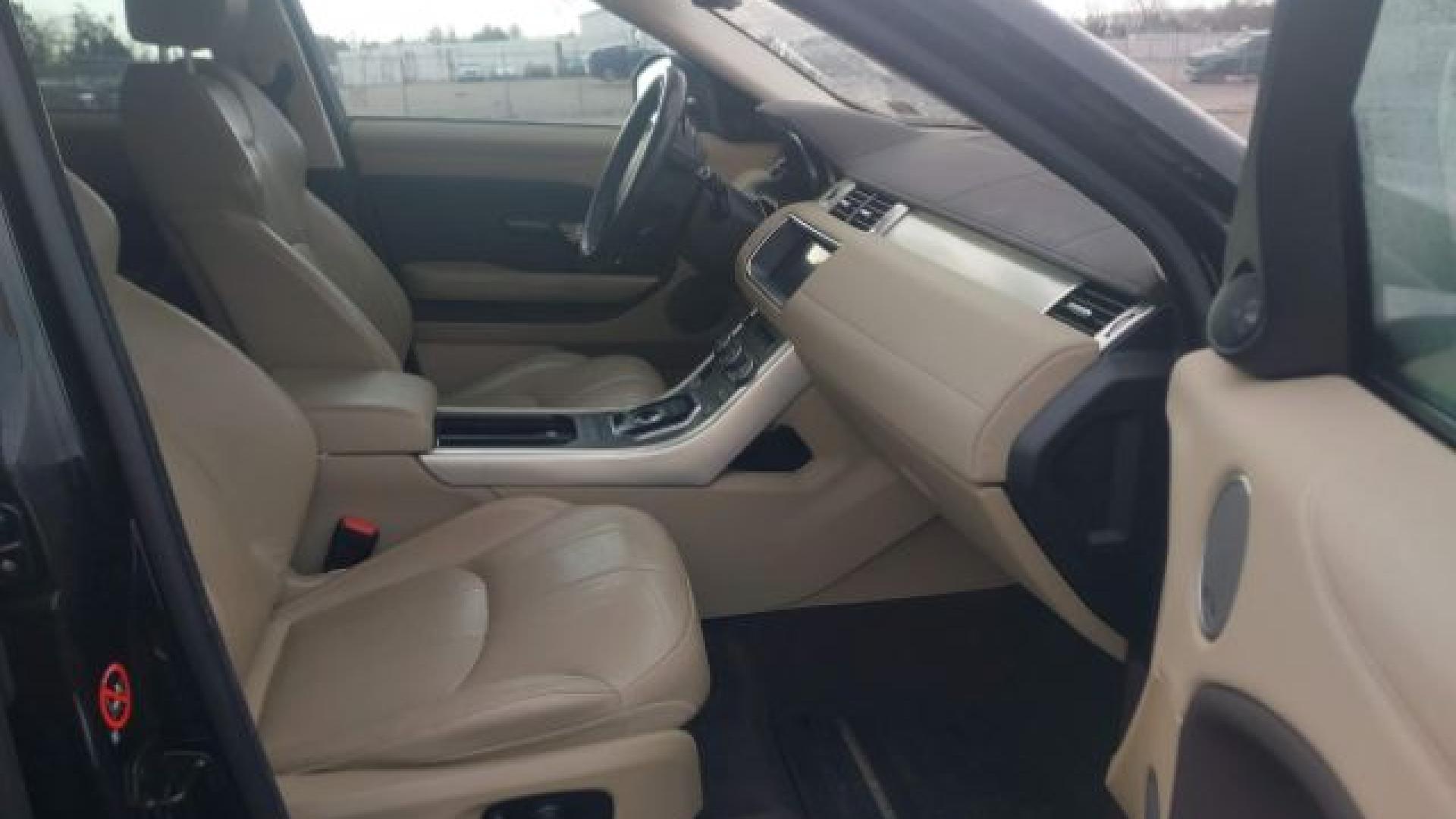 Range Rover - Evoque - 2017 - Black - 41197445