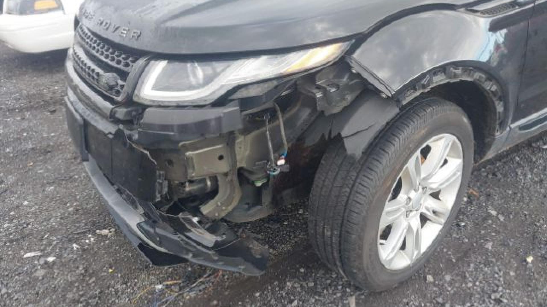 Range Rover - Evoque - 2017 - Black - 41197445