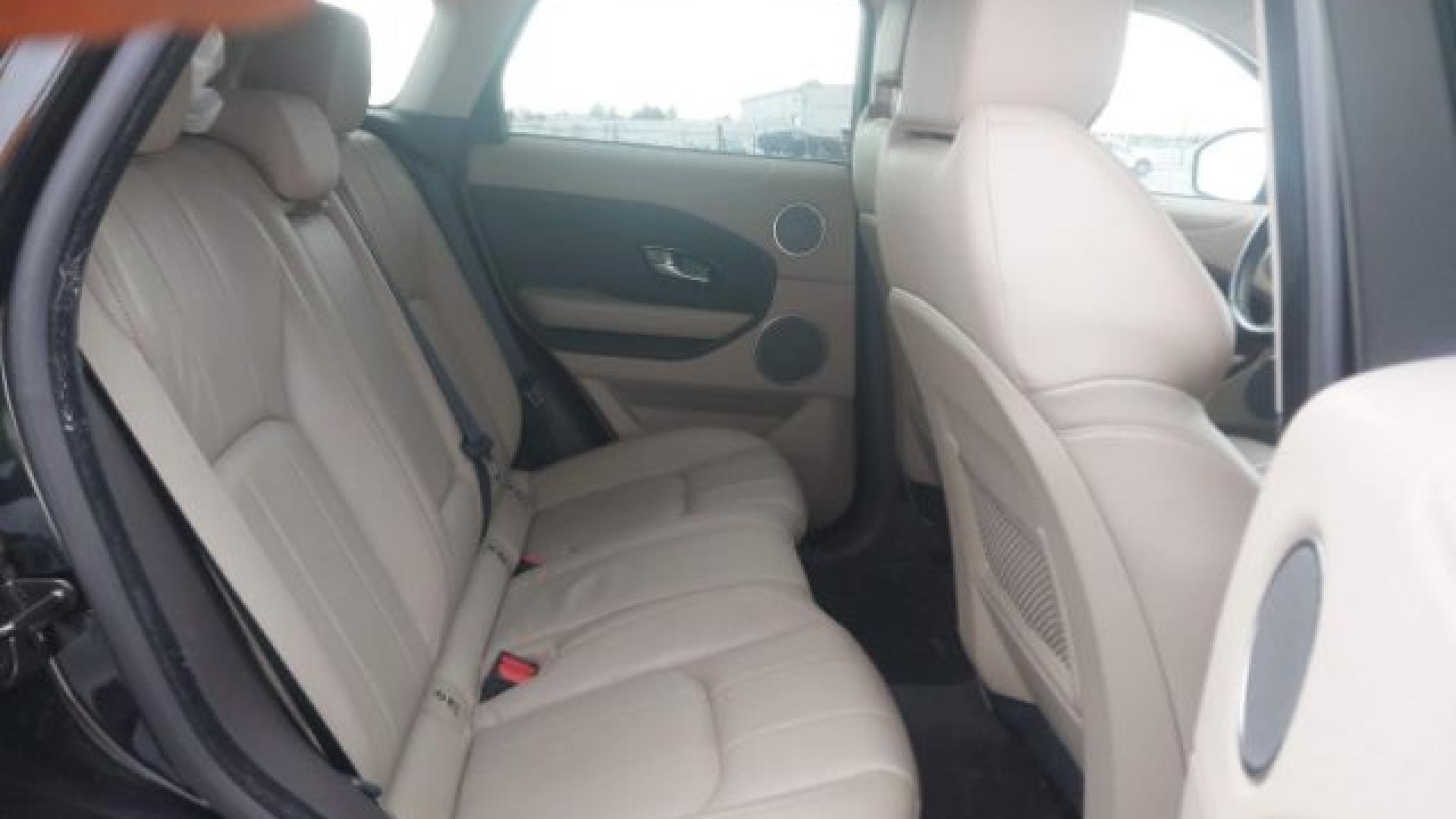 Range Rover - Evoque - 2017 - Black - 41197445