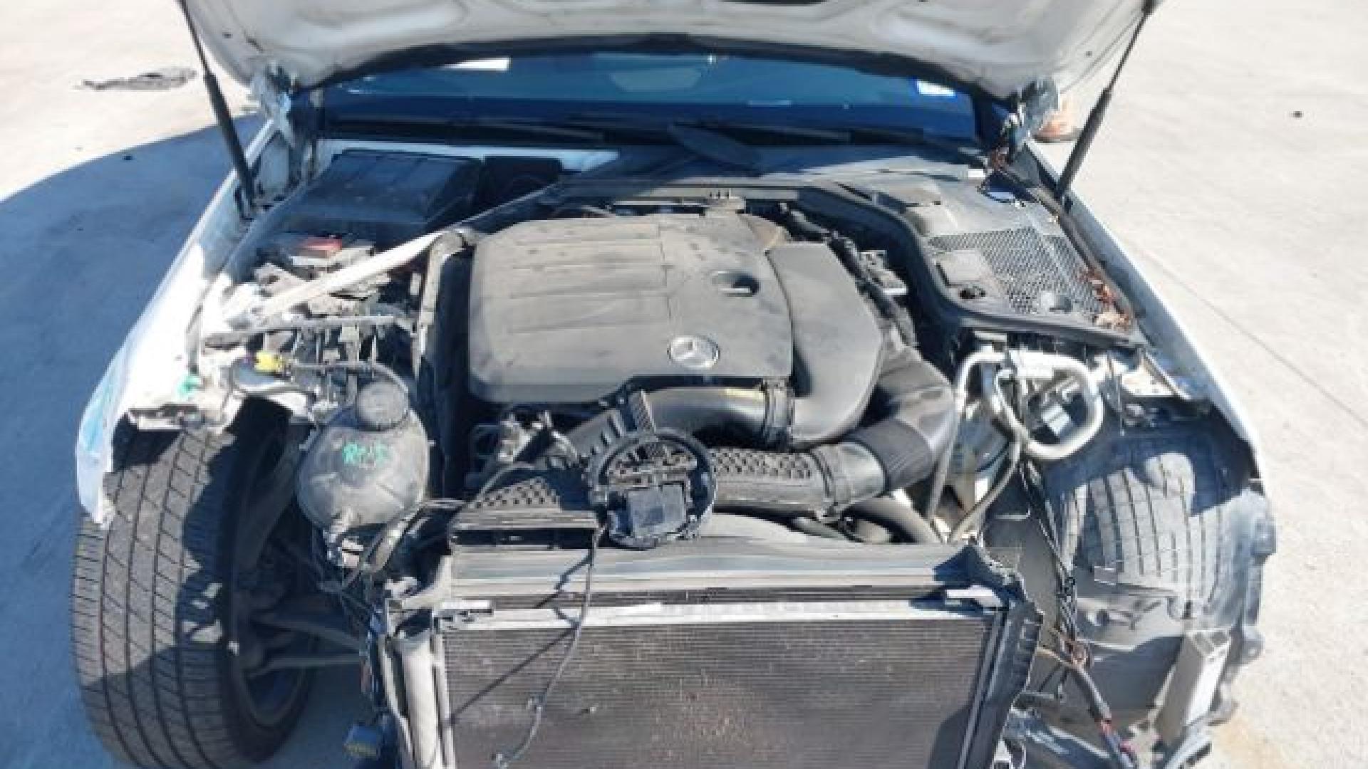 Mercedes - C300 - 2019 - White - 41306051