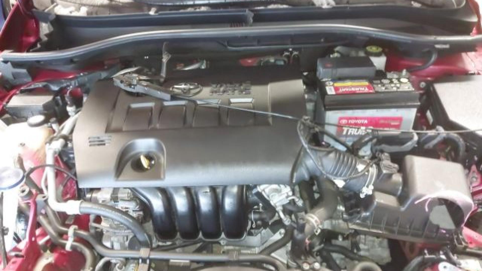 Toyota  - C-Hr  - 2018 - Red - 41476098