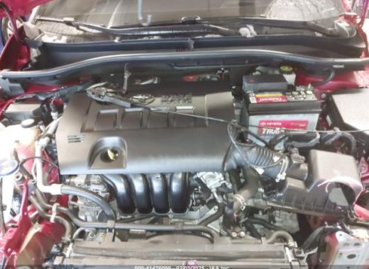 Toyota  - C-Hr  - 2018 - Red - 41476098