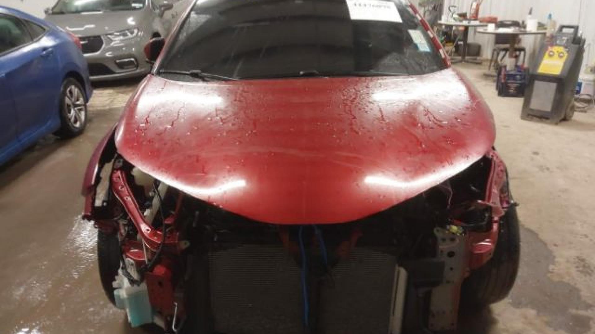 Toyota  - C-Hr  - 2018 - Red - 41476098