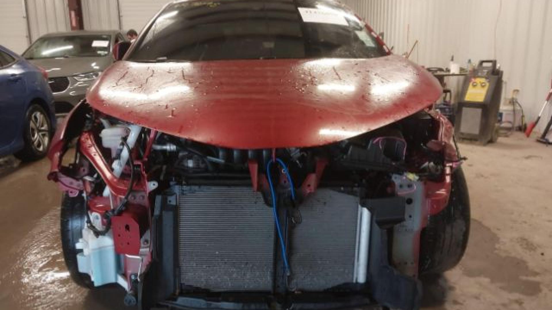 Toyota  - C-Hr  - 2018 - Red - 41476098