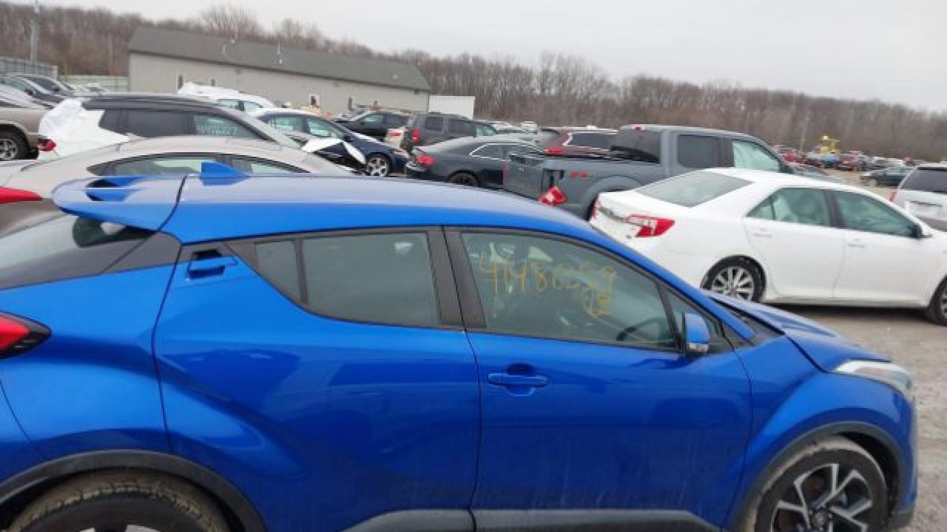 Toyota  - C-Hr  - 2018 - Blue Gitan - 41486359