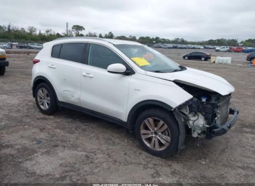 Kia - Sportage - 2017 - White - 41625658