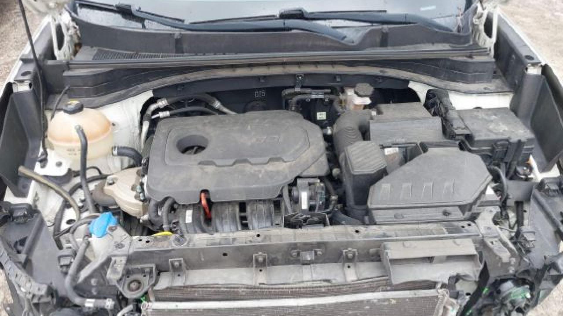 Kia - Sportage - 2017 - White - 41625658