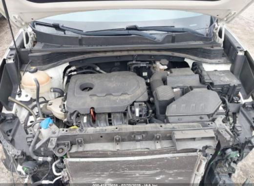 Kia - Sportage - 2017 - White - 41625658