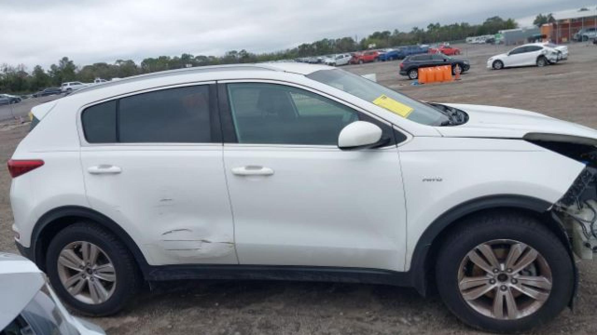Kia - Sportage - 2017 - White - 41625658
