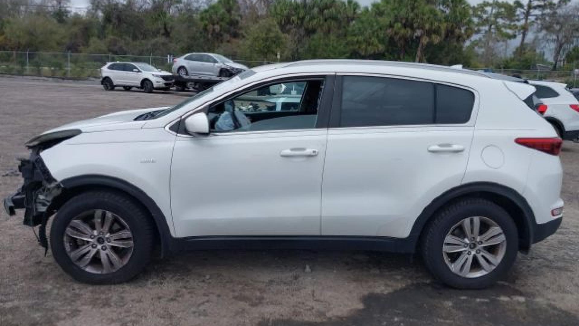 Kia - Sportage - 2017 - White - 41625658