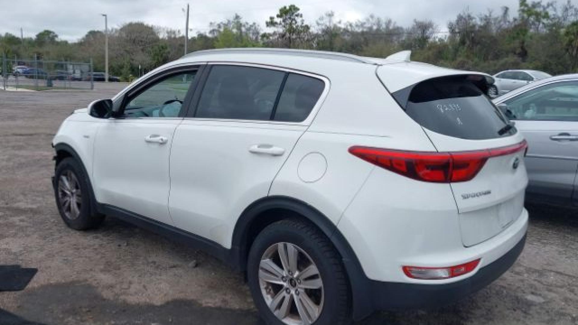 Kia - Sportage - 2017 - White - 41625658