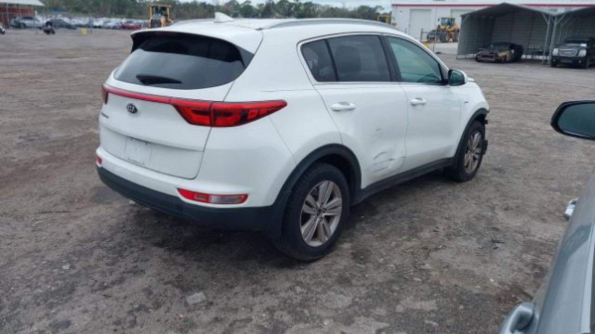 Kia - Sportage - 2017 - White - 41625658