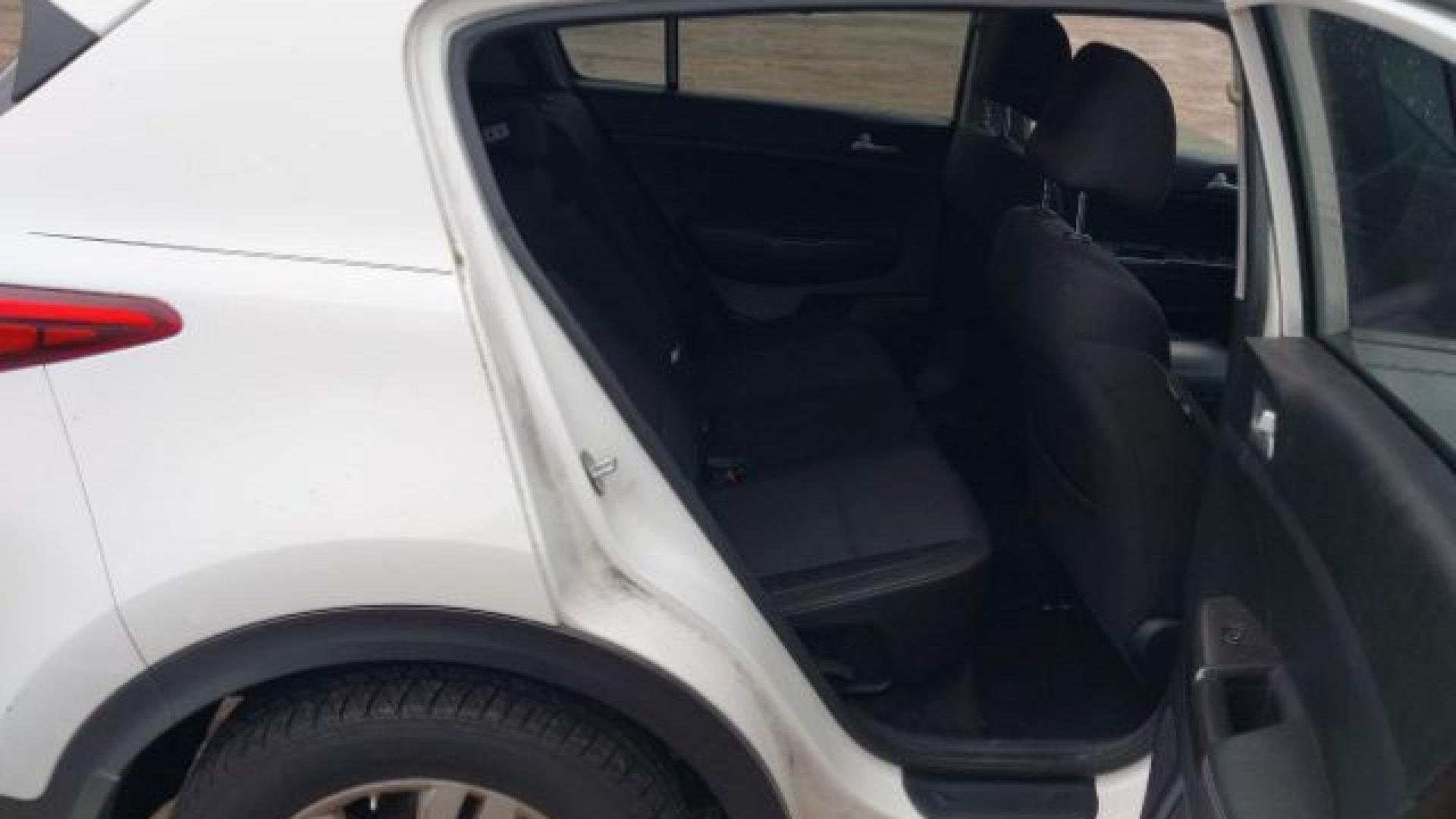 Kia - Sportage - 2017 - White - 41625658