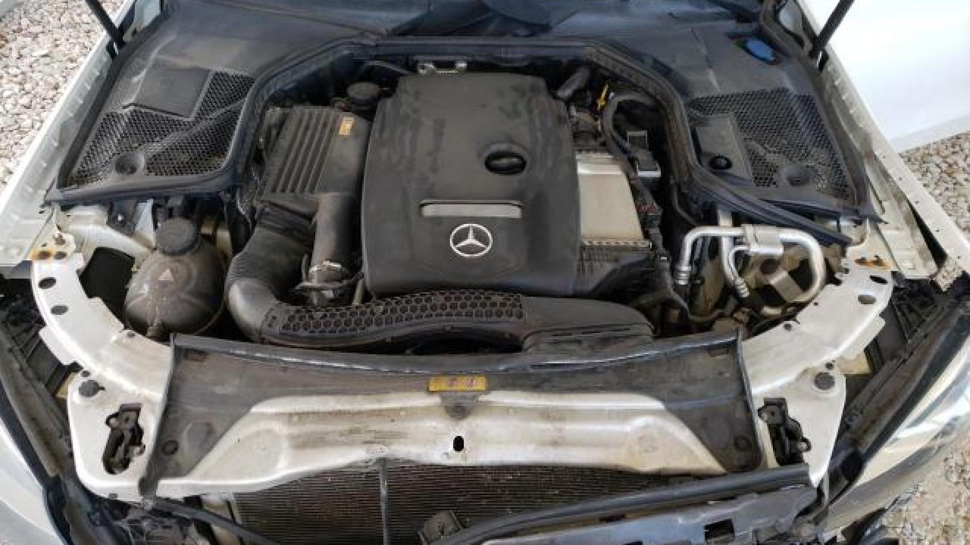 Mercedes - C300 - 2017 - White - 82359934