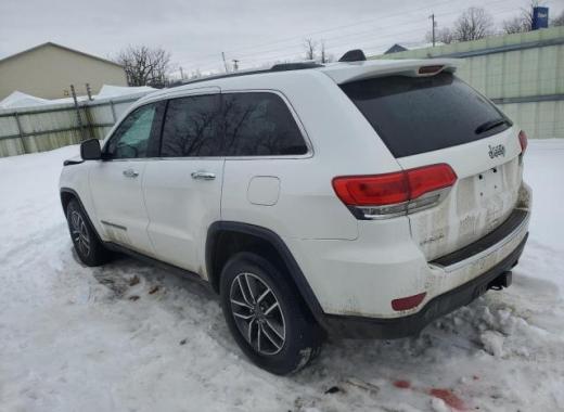 Jeep  - Grand Cherokee - 2019 - White - 45037735