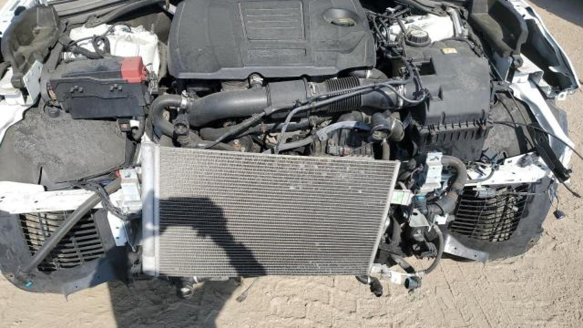 Range Rover - Velar - 2018 - White - 52914284