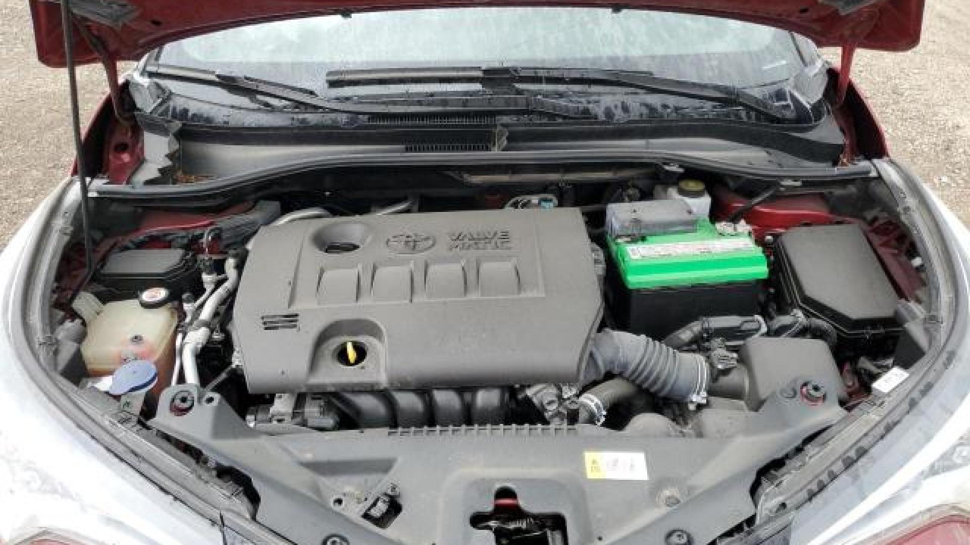 Toyota  - C-Hr  - 2018 - Red - 56028784